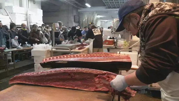 「卸売市場で本マグロの大サービス ことし最後の一般開放で｢正月に向けて、いい食材あれば｣ 年末年始の大売り出し 愛知･豊田市」の画像