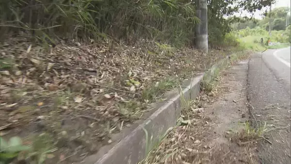 「6人死傷事故 DNAから会社員の男性（20）が運転と特定 飲酒し運転か 容疑者死亡のまま書類送検 三重･名張市」の画像