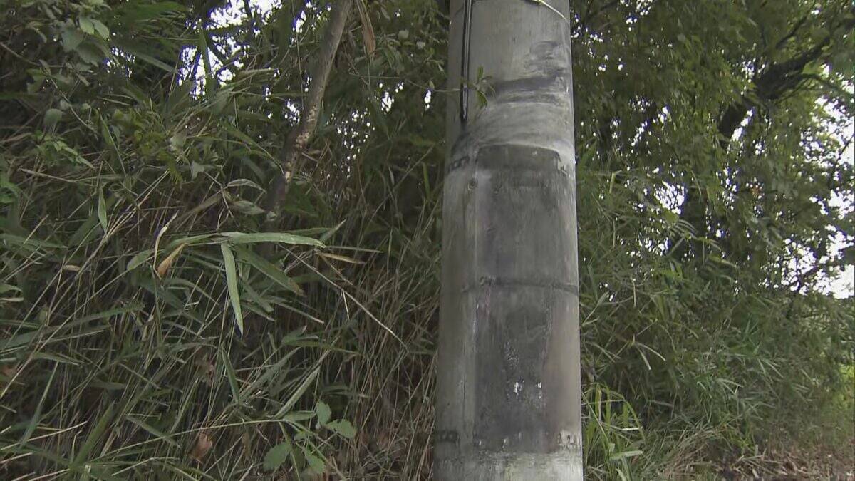 6人死傷事故 DNAから会社員の男性（20）が運転と特定 飲酒し運転か 容疑者死亡のまま書類送検 三重･名張市