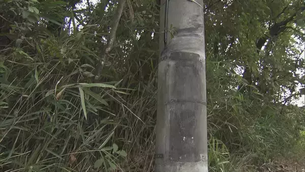 「6人死傷事故 DNAから会社員の男性（20）が運転と特定 飲酒し運転か 容疑者死亡のまま書類送検 三重･名張市」の画像