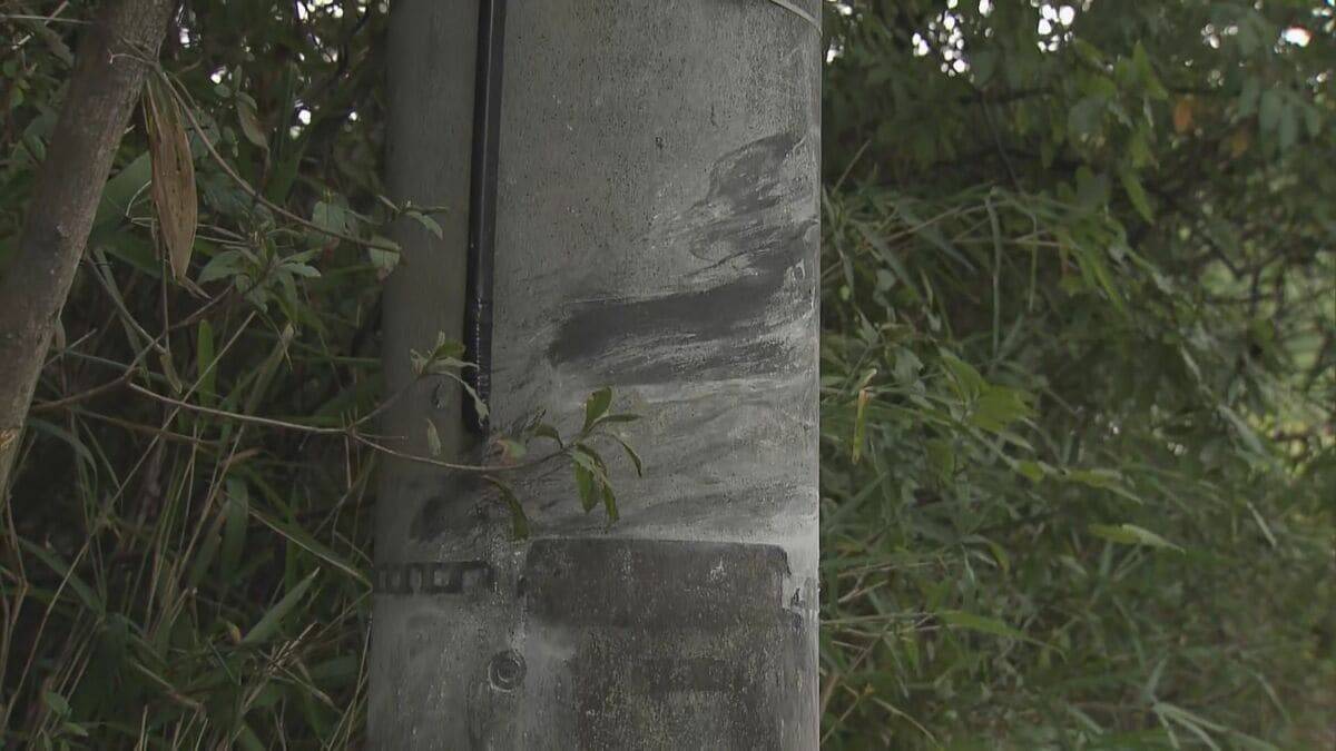 6人死傷事故 DNAから会社員の男性（20）が運転と特定 飲酒し運転か 容疑者死亡のまま書類送検 三重･名張市