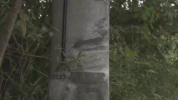 「6人死傷事故 DNAから会社員の男性（20）が運転と特定 飲酒し運転か 容疑者死亡のまま書類送検 三重･名張市」の画像