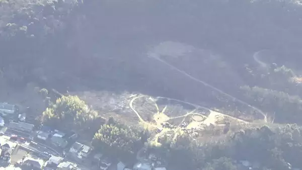 「愛知･岡崎市で山林火災 ｢山の方から煙があがっていて…｣ 約2時間半後に消し止められる」の画像