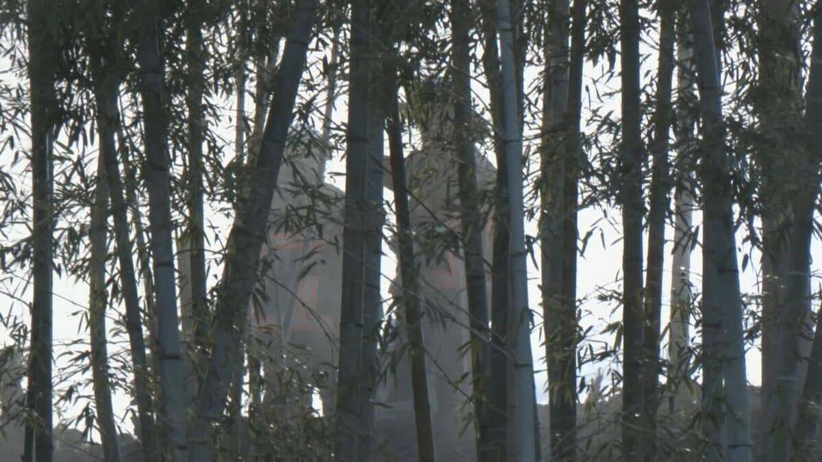 愛知･岡崎市で山林火災 ｢山の方から煙があがっていて…｣ 約2時間半後に消し止められる