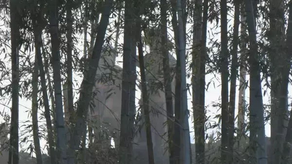 「愛知･岡崎市で山林火災 ｢山の方から煙があがっていて…｣ 約2時間半後に消し止められる」の画像