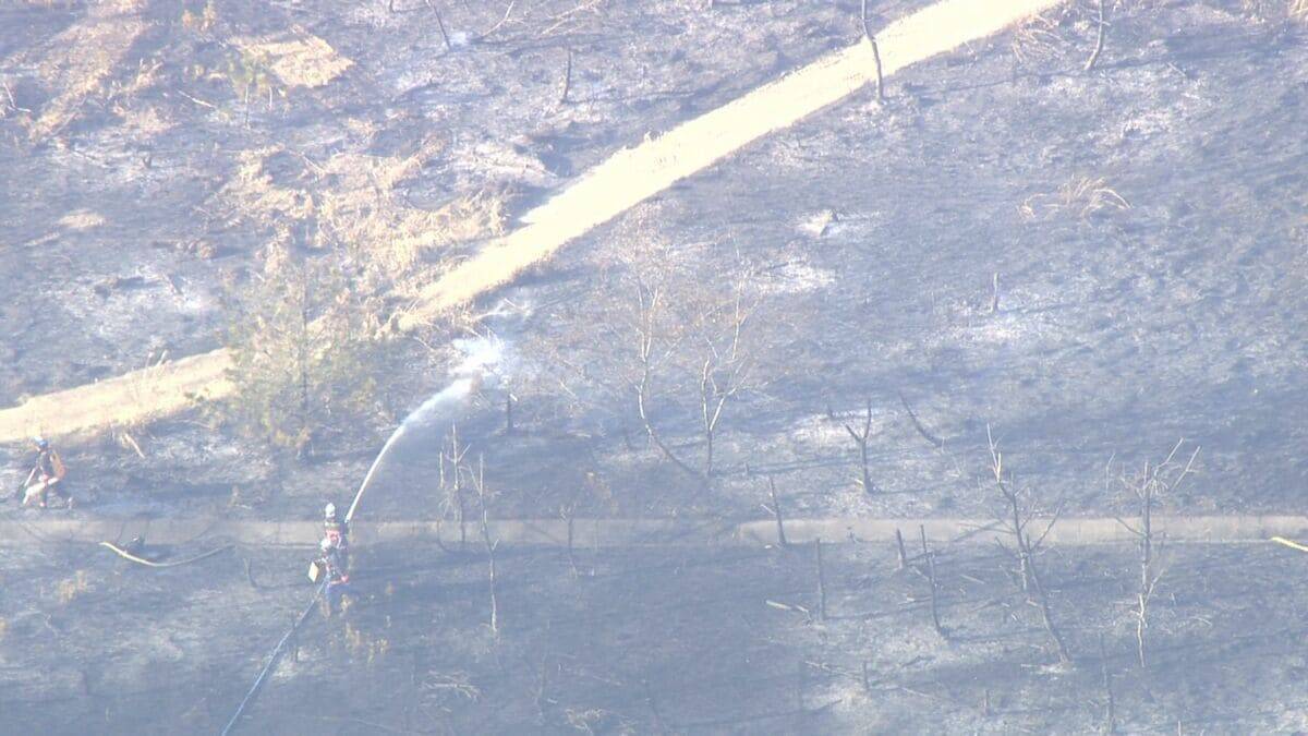 愛知･岡崎市で山林火災 ｢山の方から煙があがっていて…｣ 約2時間半後に消し止められる