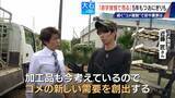 「｢仕入れが高すぎて…｣ コメで1億5000万円の赤字 在庫は去年の約2倍 価格下落で卸売業者は悲鳴」の画像11