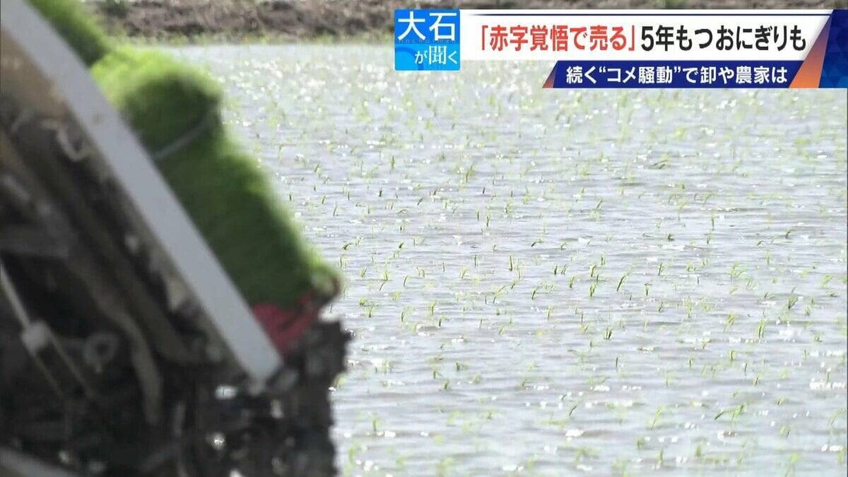 ｢仕入れが高すぎて…｣ コメで1億5000万円の赤字 在庫は去年の約2倍 価格下落で卸売業者は悲鳴