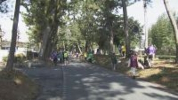 「東海道五十三次」の愛知県内の９つの宿場でボランティアによる清掃活動 豊川市の「御油宿」の「松並木」周辺もさらにキレイに