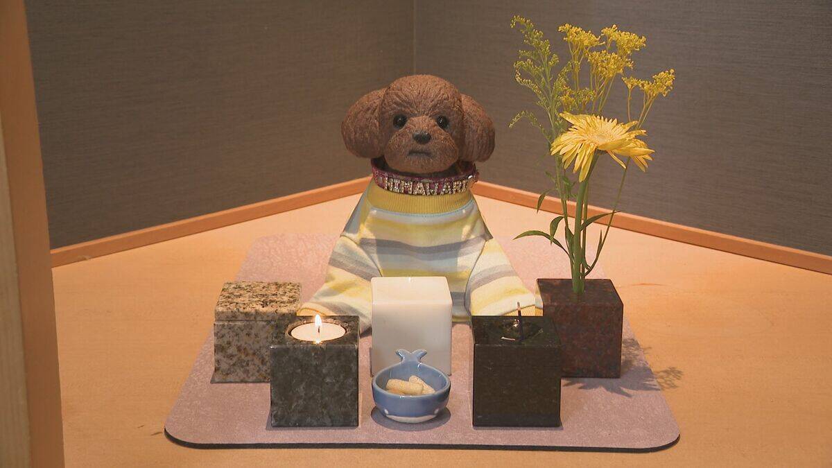 開発5年 “小さなお墓”とは？ ｢部屋の中に置けるものを…｣ 墓じまいで撤去した墓石の再加工も可能 ペット供養にも