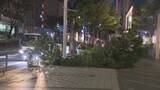 「名古屋・栄で街路樹の枝が折れる 長さ５メートル以上 けが人なし 付近では先月も街路樹が倒木」の画像1