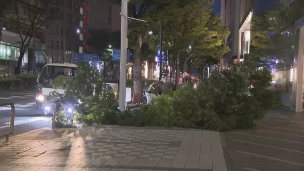 名古屋・栄で街路樹の枝が折れる 長さ５メートル以上 けが人なし 付近では先月も街路樹が倒木