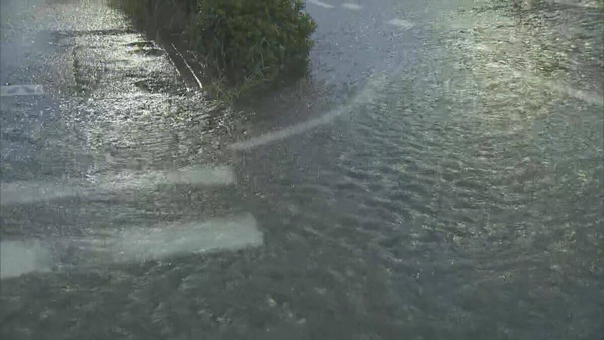 【台風情報】台風6号 東海3県に最接近 影響は？茶色く濁った水が橋の高さまで… 河川氾濫・土砂災害に厳重警戒を