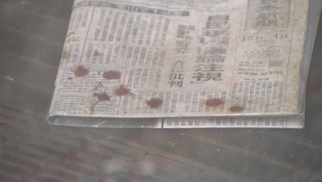 ツキノワグマと遭遇した女性語る「もうダメかなと思った」…その時“あきちゃん”が果敢に吠えた クマはこれで冬眠？