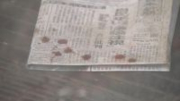 ツキノワグマと遭遇した女性語る「もうダメかなと思った」…その時“あきちゃん”が果敢に吠えた クマはこれで冬眠？