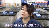 「｢漁1回の燃料費は15万円｣ 売れない“未利用魚”を絶品に 午前2時に開く深夜食堂  地元漁業の救世主なるか」の画像6