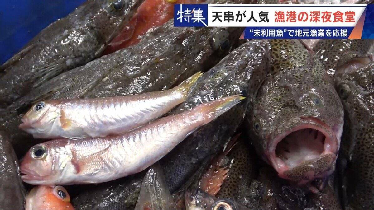 ｢漁1回の燃料費は15万円｣ 売れない“未利用魚”を絶品に 午前2時に開く深夜食堂  地元漁業の救世主なるか