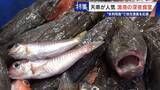 「｢漁1回の燃料費は15万円｣ 売れない“未利用魚”を絶品に 午前2時に開く深夜食堂  地元漁業の救世主なるか」の画像7