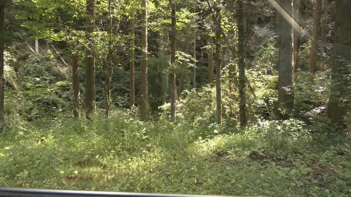 ランニング中の50代男性がクマに襲われケガ 体長約1.3メートルのツキノワグマに腕や足をかまれる 「ついに出たかなという感じ」と近隣住人 東海地方で今年度初の人身被害 岐阜・高山市
