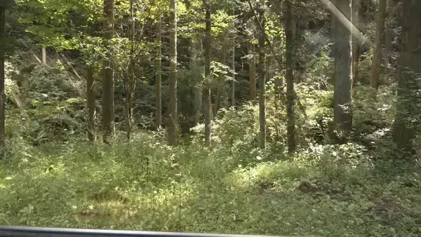 「ランニング中の50代男性がクマに襲われケガ 体長約1.3メートルのツキノワグマに腕や足をかまれる 「ついに出たかなという感じ」と近隣住人 東海地方で今年度初の人身被害 岐阜・高山市」の画像