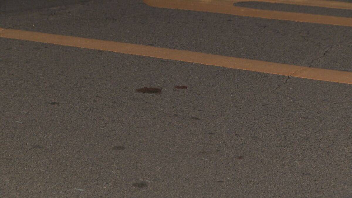 頭から血を流して倒れている男性が見つかる　警察はひき逃げ事件とみて捜査　男性は50代くらいで重体の模様