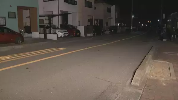 「頭から血を流して倒れている男性が見つかる　警察はひき逃げ事件とみて捜査　男性は50代くらいで重体の模様」の画像