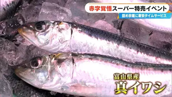 「｢恐ろしいほど安い｣イワシ詰め放題108円･卵が半額!? 愛知のローカルスーパーが挑む 赤字覚悟の“爆裂祭”」の画像