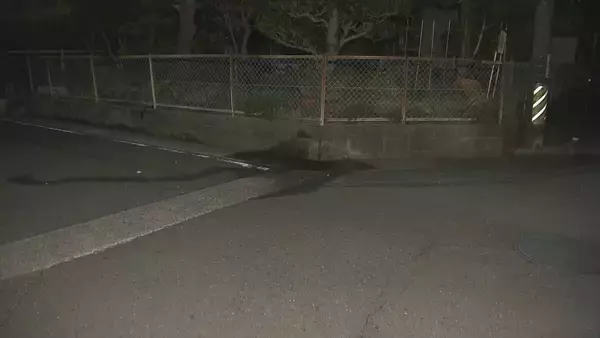 「岐阜・北方町で自転車の78歳男性がワンボックス車にはねられ死亡　現場の交差点は見通しが良くなくカーブミラーも」の画像