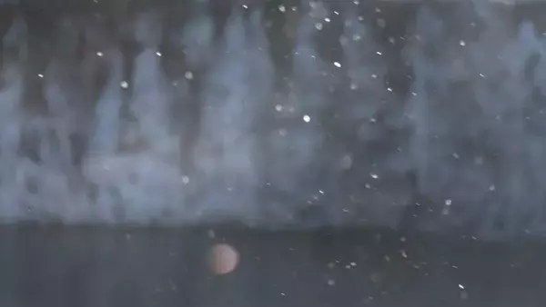 「真冬の絶景｢ダイヤモンドダスト｣ 見られるのは1シーズンに数回だけ… －18.5℃を観測した岐阜･高山市六厩」の画像