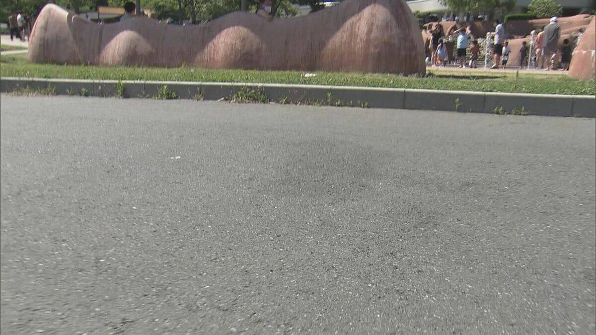 公園の駐車場で2歳の男の子が軽乗用車にはねられ死亡 家族と遊びに来ていて事故に…運転していた82歳の男を現行犯逮捕 愛知・豊川市の赤塚山公園