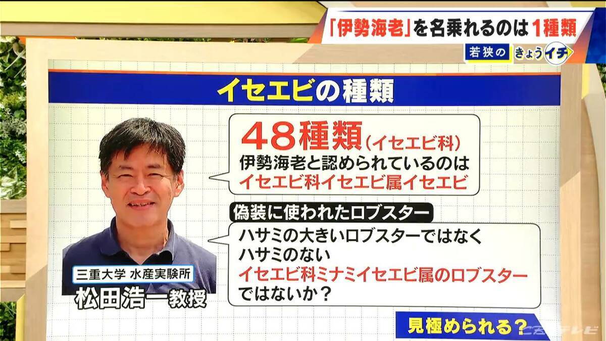 ロブスターを“伊勢海老”として販売  伊勢海老を名乗れるのは世界で1種類だけ 3800個以上が消費者の手に ｢伊勢志摩みやげセンター王将｣