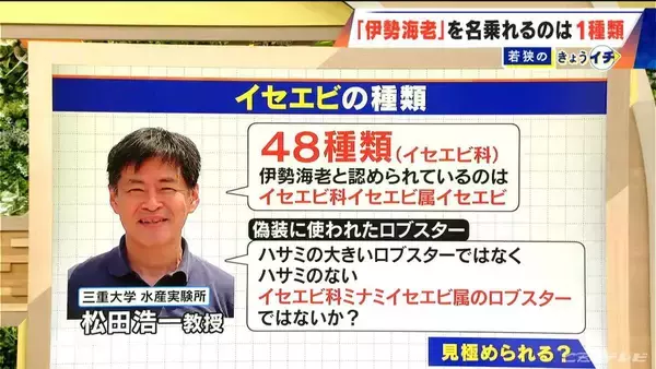 「ロブスターを“伊勢海老”として販売  伊勢海老を名乗れるのは世界で1種類だけ 3800個以上が消費者の手に ｢伊勢志摩みやげセンター王将｣」の画像