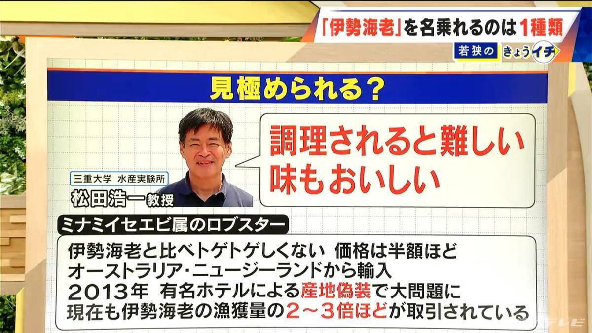 ロブスターを“伊勢海老”として販売  伊勢海老を名乗れるのは世界で1種類だけ 3800個以上が消費者の手に ｢伊勢志摩みやげセンター王将｣