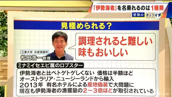 「ロブスターを“伊勢海老”として販売  伊勢海老を名乗れるのは世界で1種類だけ 3800個以上が消費者の手に ｢伊勢志摩みやげセンター王将｣」の画像