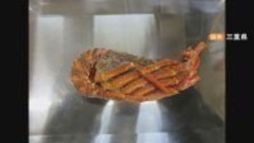 ロブスターを“伊勢海老”として販売  伊勢海老を名乗れるのは世界で1種類だけ 3800個以上が消費者の手に ｢伊勢志摩みやげセンター王将｣