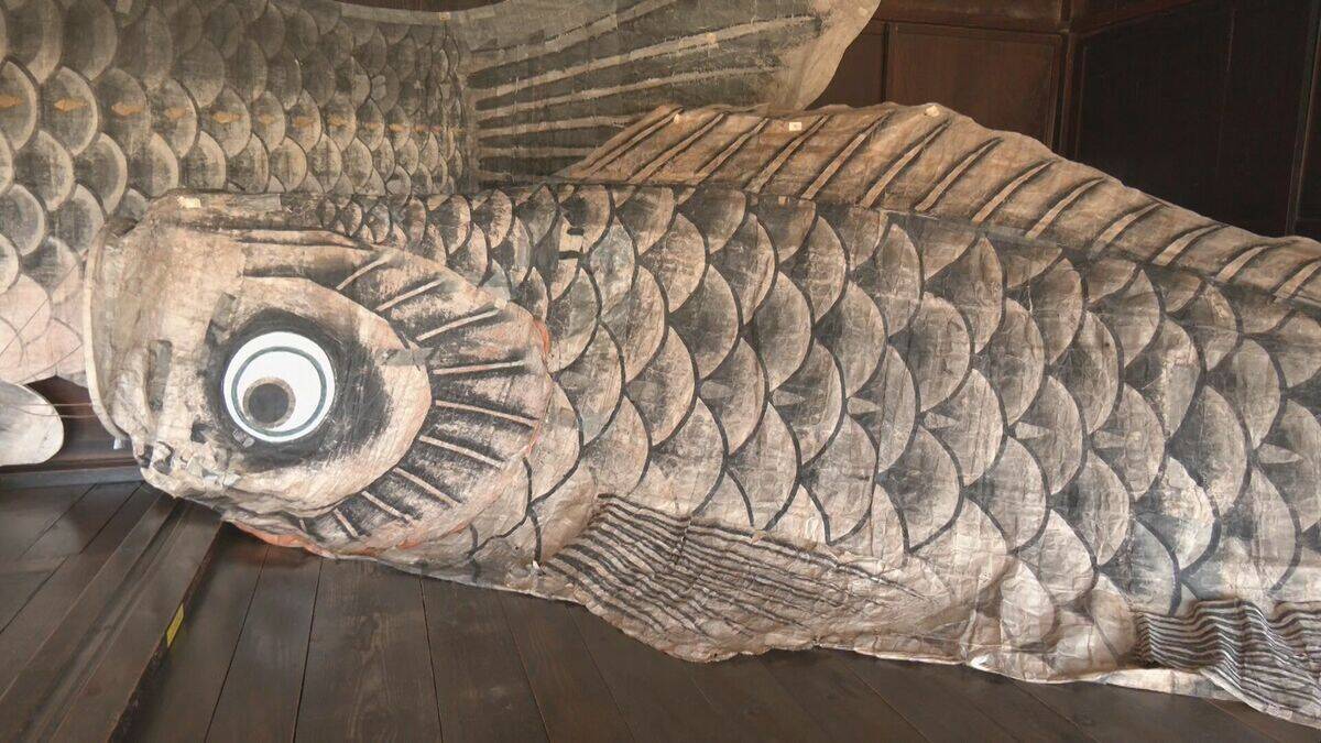 全長9.5メートル 和紙で作った｢巨大こいのぼり｣ 伝統工芸“山中和紙” 目つきやうろこは独特の風合いが 岐阜･高山市｢飛騨の里｣