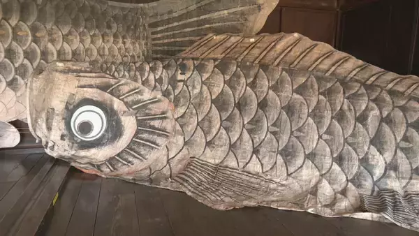 「全長9.5メートル 和紙で作った｢巨大こいのぼり｣ 伝統工芸“山中和紙” 目つきやうろこは独特の風合いが 岐阜･高山市｢飛騨の里｣」の画像