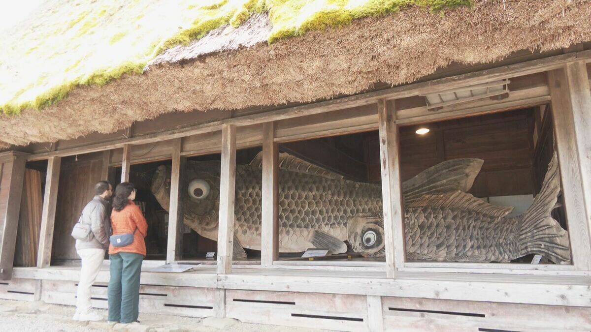 全長9.5メートル 和紙で作った｢巨大こいのぼり｣ 伝統工芸“山中和紙” 目つきやうろこは独特の風合いが 岐阜･高山市｢飛騨の里｣