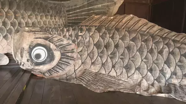 「全長9.5メートル 和紙で作った｢巨大こいのぼり｣ 伝統工芸“山中和紙” 目つきやうろこは独特の風合いが 岐阜･高山市｢飛騨の里｣」の画像