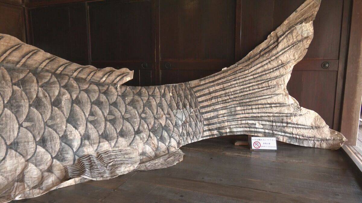 全長9.5メートル 和紙で作った｢巨大こいのぼり｣ 伝統工芸“山中和紙” 目つきやうろこは独特の風合いが 岐阜･高山市｢飛騨の里｣