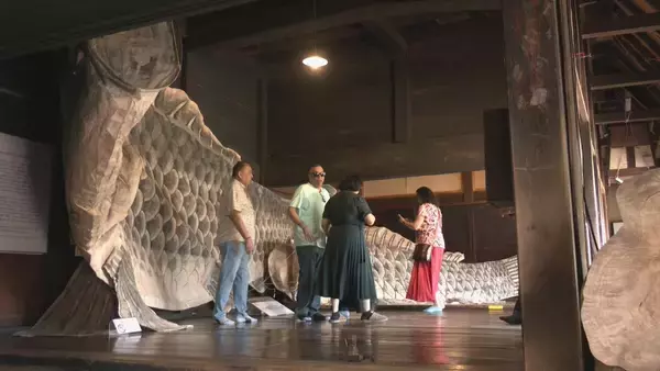 「全長9.5メートル 和紙で作った｢巨大こいのぼり｣ 伝統工芸“山中和紙” 目つきやうろこは独特の風合いが 岐阜･高山市｢飛騨の里｣」の画像