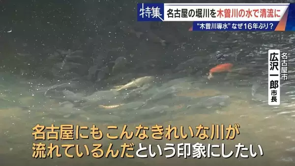 「名古屋の堀川 よどんだ水を木曽川からの導水で清流に!? その効果は… “常時導水”には高い壁」の画像