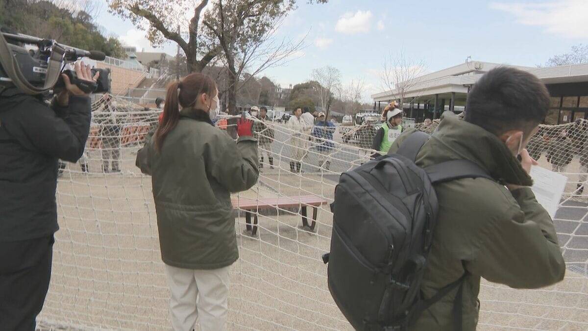 動物の脱走を想定した捕獲訓練 ｢もし逃げても万全の対応ができるように｣  レッサーパンダ役の職員が園内を逃げ回る 名古屋･東山動植物園