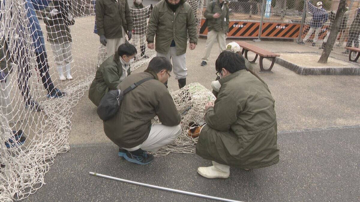 動物の脱走を想定した捕獲訓練 ｢もし逃げても万全の対応ができるように｣  レッサーパンダ役の職員が園内を逃げ回る 名古屋･東山動植物園