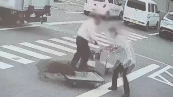 「｢飛びかかるように乗っていた｣ イノシシに襲われ50～80代の男性4人ケガ 突進してくる様子が防犯カメラに… 愛知･豊田市」の画像