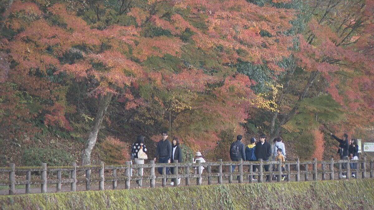“紅葉の見頃”と“ことし最後の3連休”が重なった恵那峡 行楽日和で駐車場は朝から満車に…｢紅葉と栗きんとんが楽しみ｣ 猛暑の影響で約2週間遅れの色づき