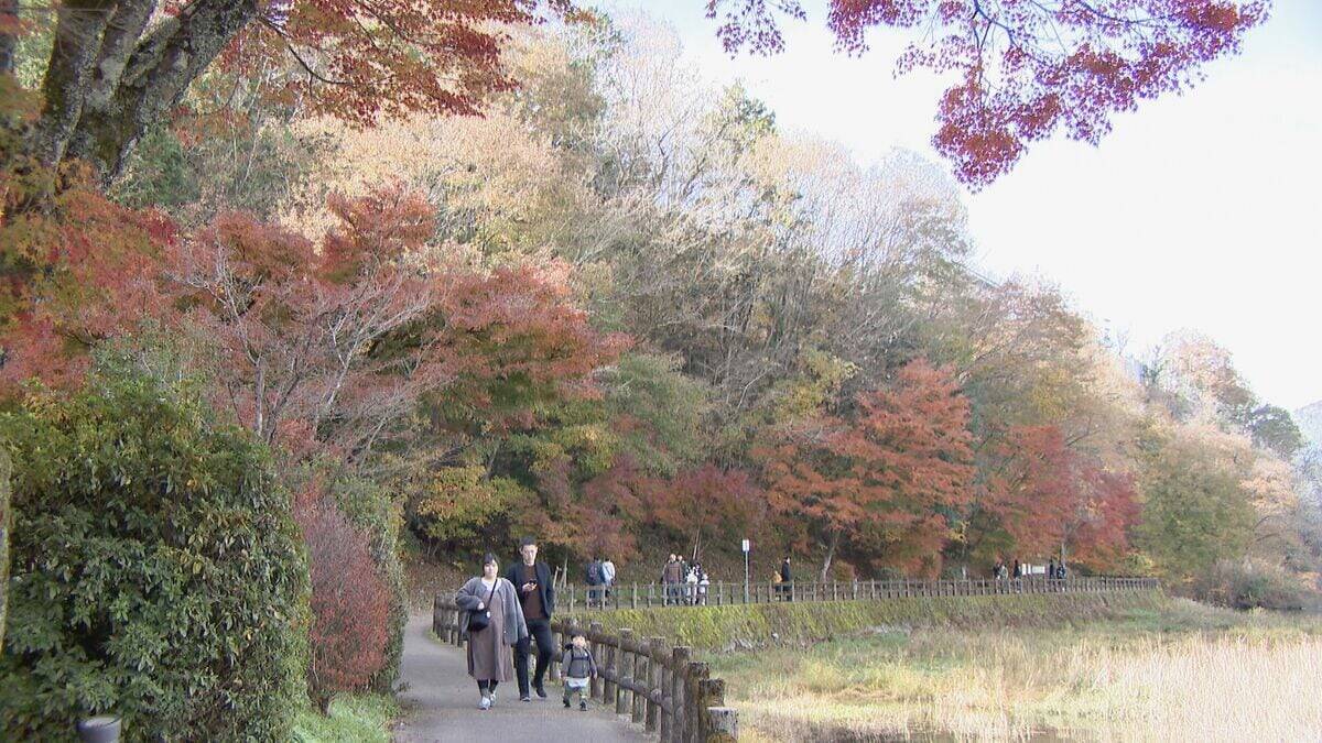 “紅葉の見頃”と“ことし最後の3連休”が重なった恵那峡 行楽日和で駐車場は朝から満車に…｢紅葉と栗きんとんが楽しみ｣ 猛暑の影響で約2週間遅れの色づき
