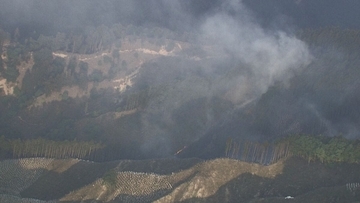 三重･津市の山火事 4日目のきょう午後5時過ぎに｢鎮火｣ 約10ヘクタール焼ける けが人なし 県職員の｢派遣基準｣見直しへ