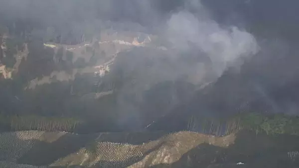 三重･津市の山火事 4日目のきょう午後5時過ぎに｢鎮火｣ 約10ヘクタール焼ける けが人なし 県職員の｢派遣基準｣見直しへ