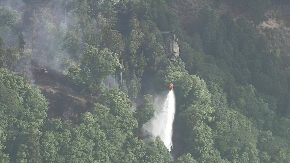 三重･津市の山火事 4日目のきょう午後5時過ぎに｢鎮火｣ 約10ヘクタール焼ける けが人なし 県職員の｢派遣基準｣見直しへ